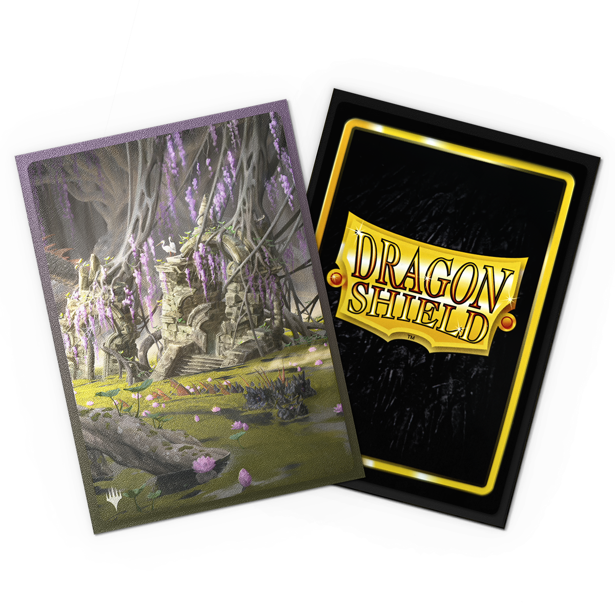 Dragon Shield Landfall Series 100ct Standard Size Sleeves